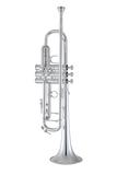 Bach Stradivarius 180S-37