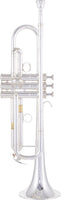 Yamaha YTR-8335RS
